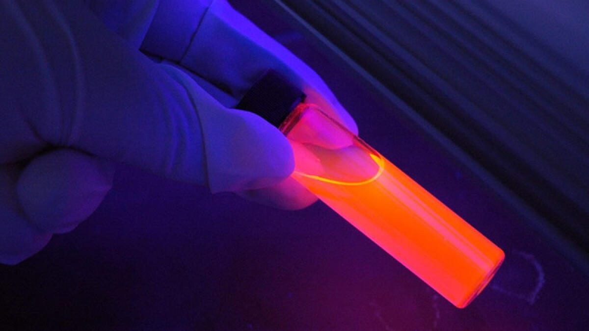 Medicina legale, protocollo tra Napoli 3 e Procura di Nola - 