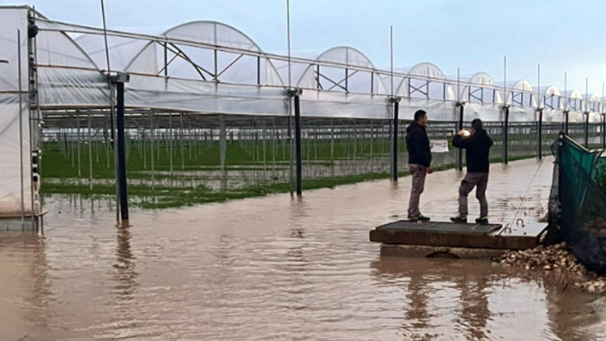 Allagamenti, coltivazioni da buttare in mezza Campania - 
