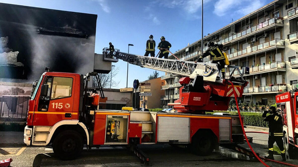 Incendio nel box auto, morti 5 cuccioli appena nati - 