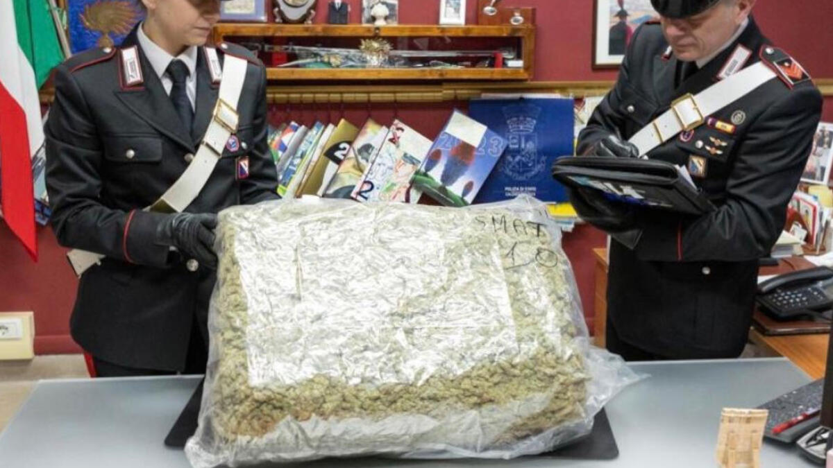 Compra pastori sul web, gli arrivano 10 chili di marijuana - 