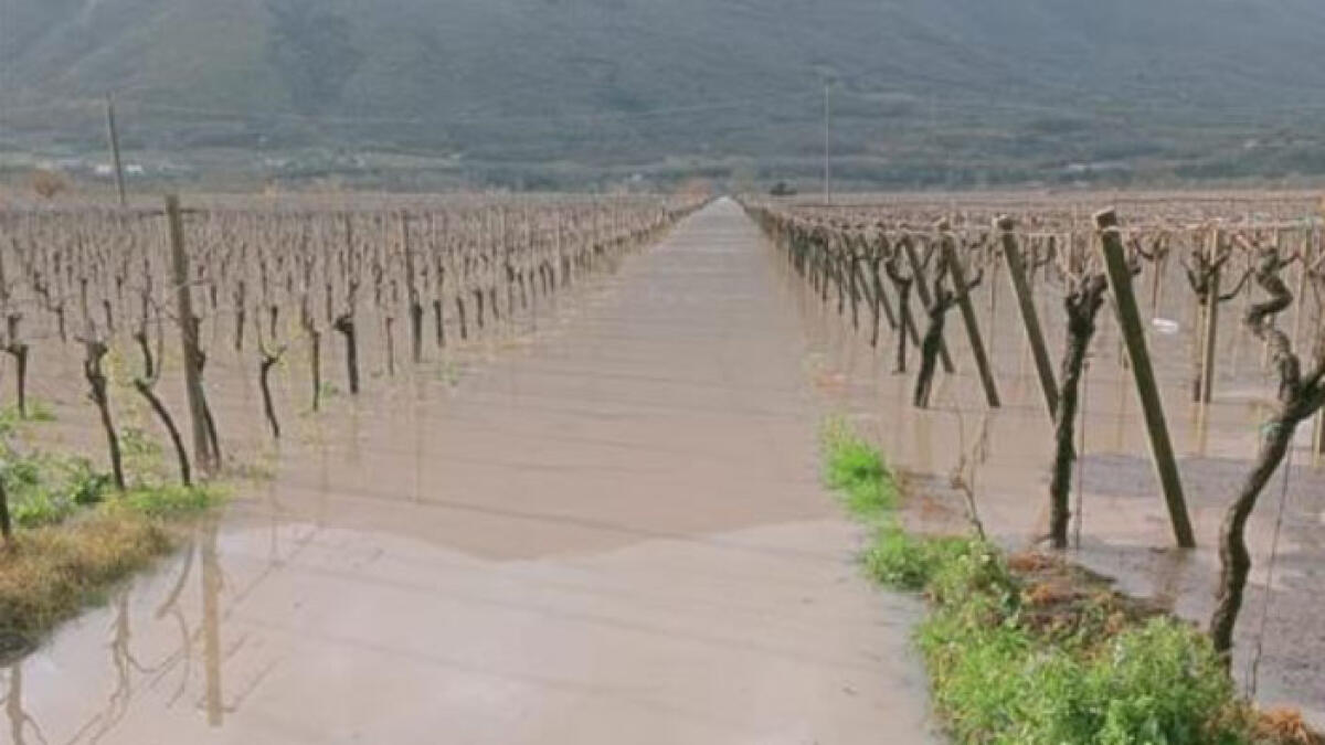 Esondano i fiumi, disastro per le coltivazioni in mezza Campania - 