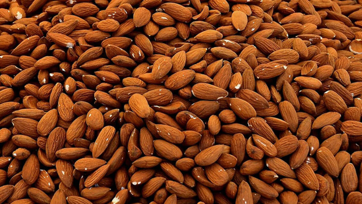 Mandorle contaminate: rischio chimico in un'azienda del Napoletano - 