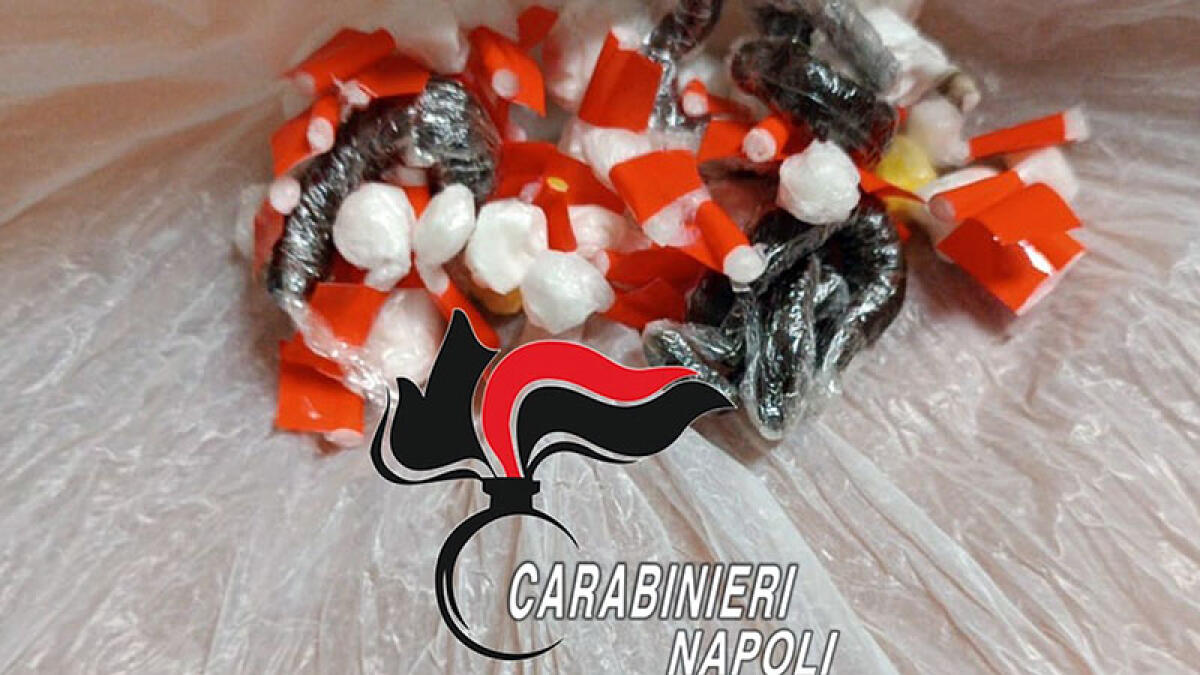 Quattro tipi di droga in casa, preso alla Cisternina - 