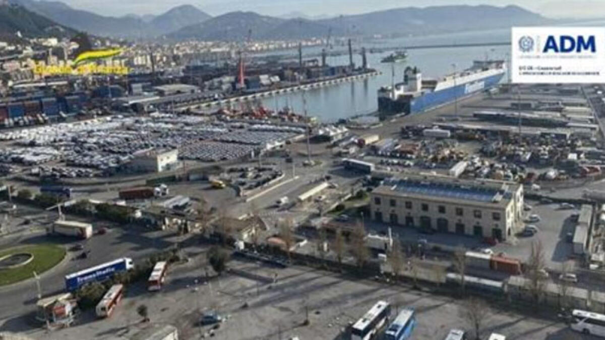 Carico di pellet da 135 tonnellate sequestrato in Campania: il motivo - 