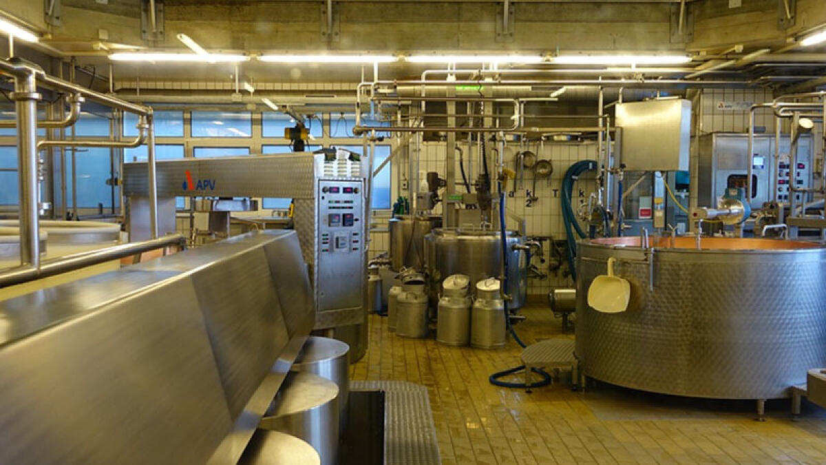 Scarichi abusivi, sigilli a caseificio nel Napoletano - 