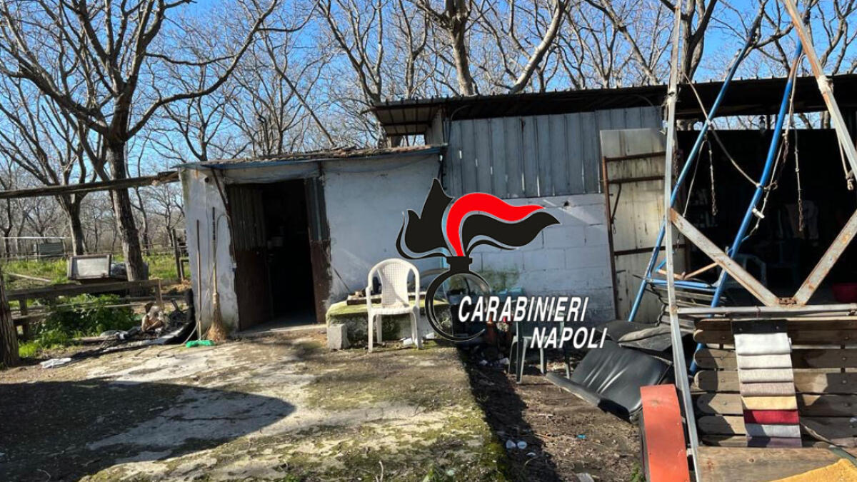 Piazzolla di Nola, sequestrato maneggio abusivo a un sangennarese - 