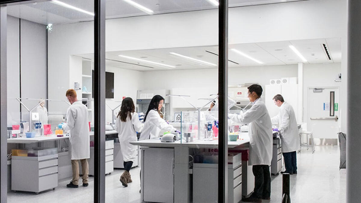 Novartis amplia lo stabilimento a Torre Annunziata, nuovi posti di lavoro - 