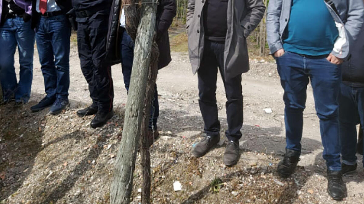 Rifiuti sversati tra i frutteti del Vesuvio a Ottaviano, arriva l'ispezione parlamentare - 