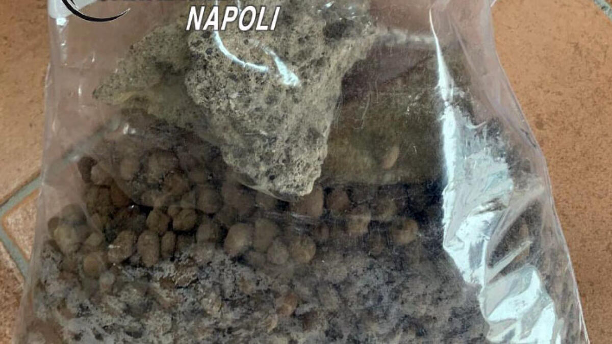 Porta via sassolini dagli Scavi, turista bloccato - 