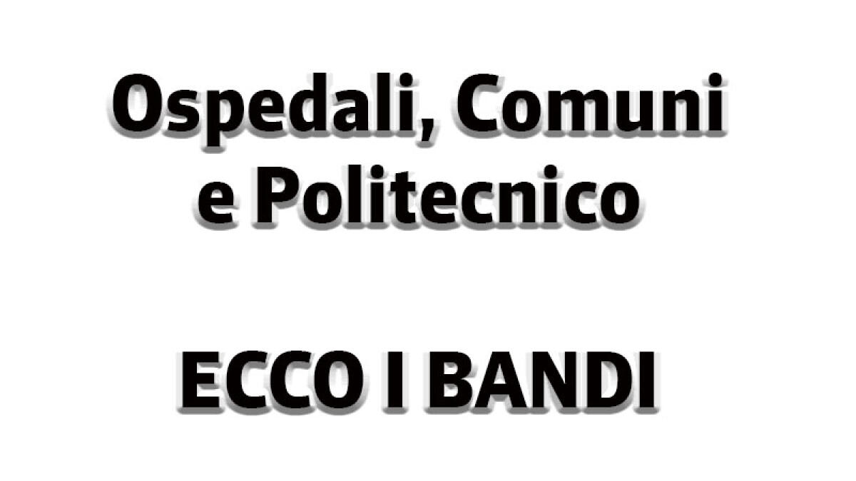 IL TROVALAVORO. Ospedali, Comune e Politecnico: i bandi - 