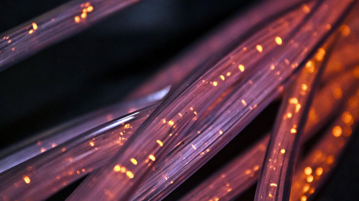 Bonus internet, ne arriva uno da non perdere - 