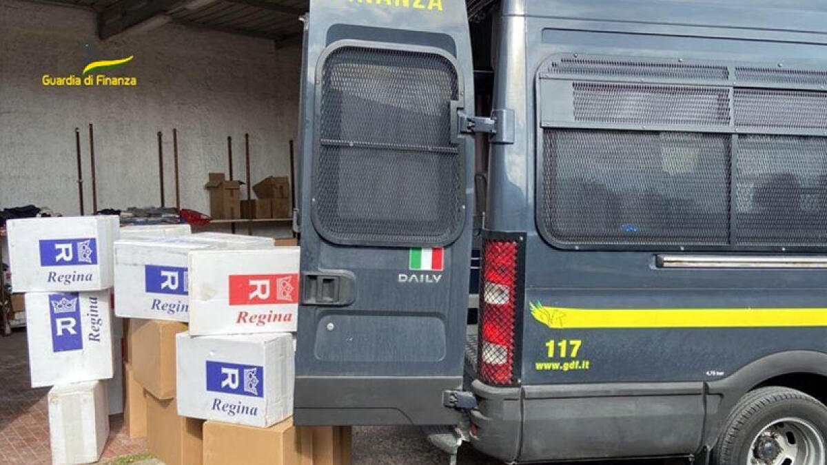 La Guardia di Finanza di Scafati sequestra una tonnellata di sigarette di contrabbando - 