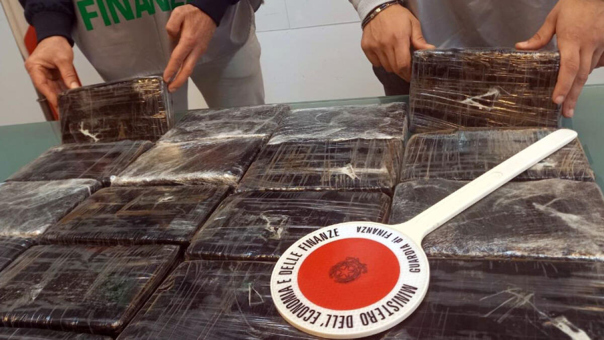 Cane antidroga fiuta 22 chili di cocaina purissima: narcos preso nel Napoletano - 