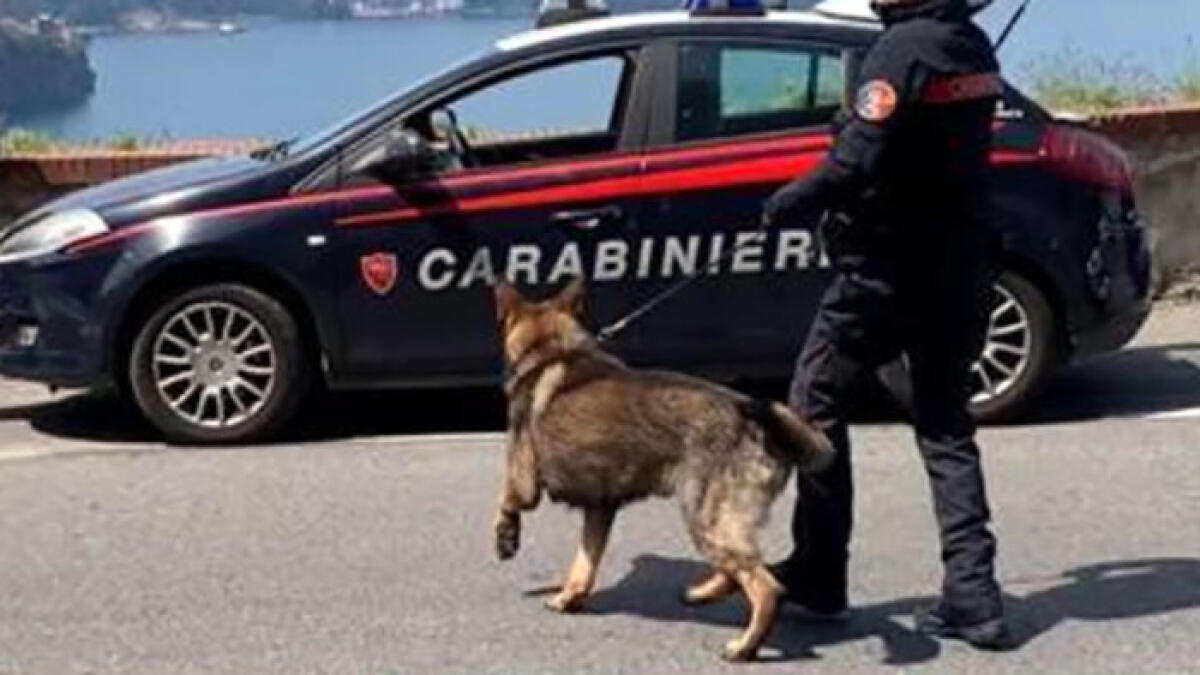 Narcotrafficante tedesco catturato in Costiera, si nascondeva tra i turisti - 