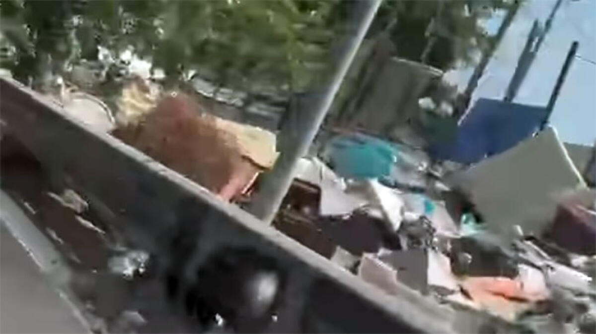 Cimitero di auto e discariche a cielo aperto: disastro ecologico - 