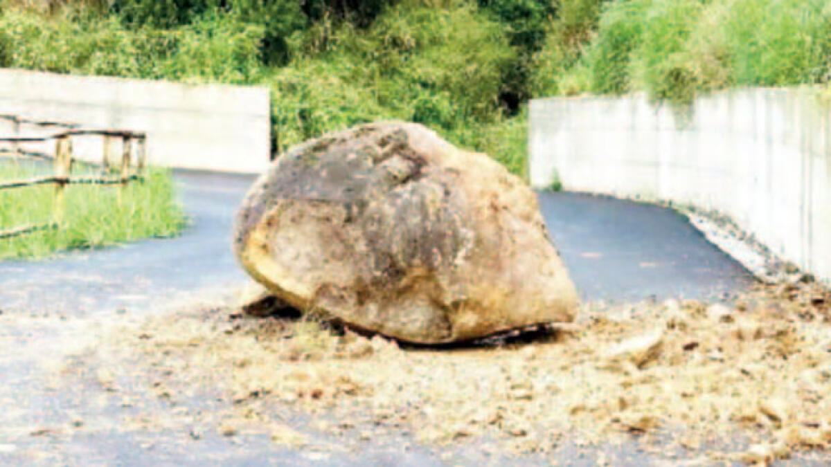 Grosso masso si stacca e finisce in strada - 