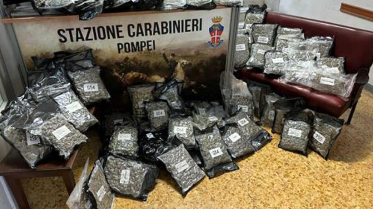 Quaranta chili di droga in garage, arrestato a Pompei - 