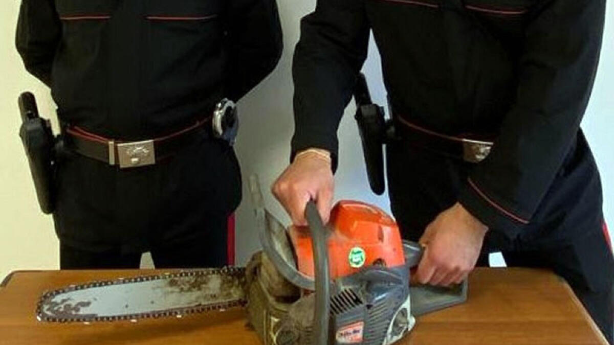 Si chiude in casa con una motosega elettrica per non farsi catturare - 