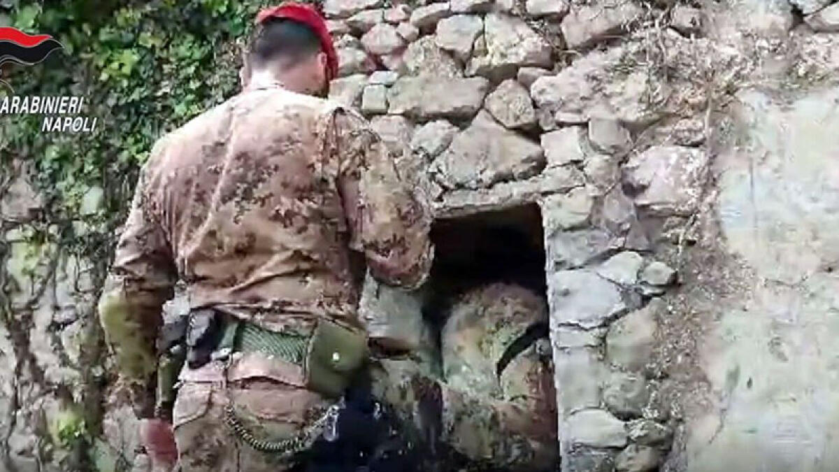 Scoperto il bunker della camorra per coltivare marijuana - 