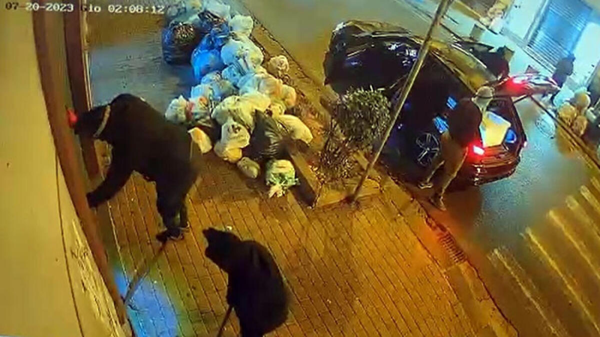 Ladri nella nota gioielleria: ripresi dalle telecamere - 