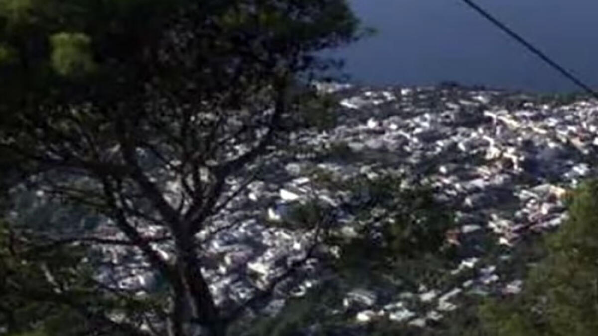 Strage di caprette, i 22 esemplari morti folgorati - 