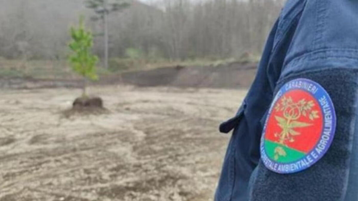 Poggiomarino, sigilli ad un'azienda di 8mila metri quadri - 