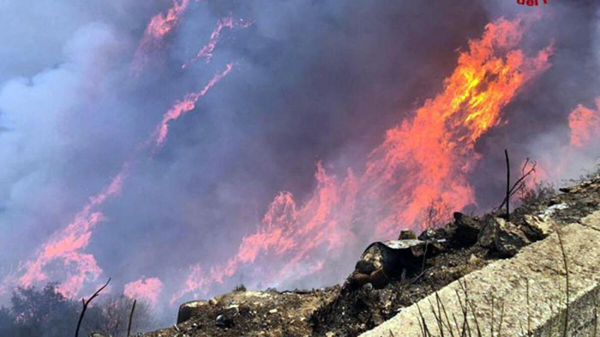 Veleni dopo l'incendio: il sindaco vieta di mangiare carne e uova per 15 giorni - 