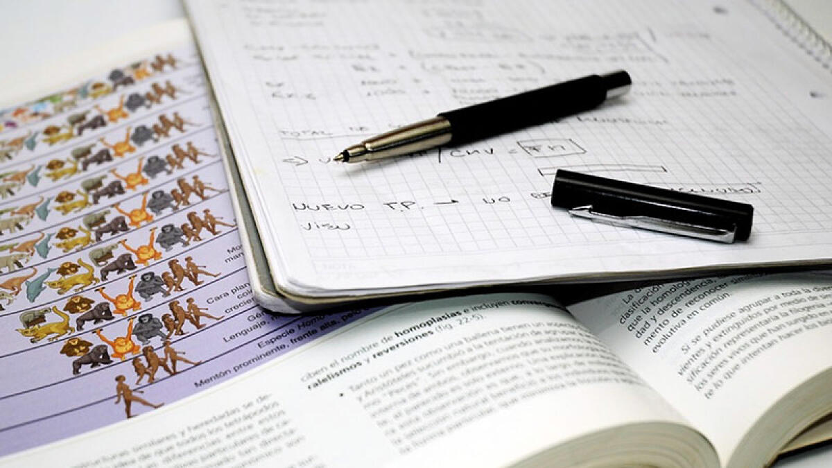 Maturità, premio in denaro per i più meritevoli: a chi spetta - 