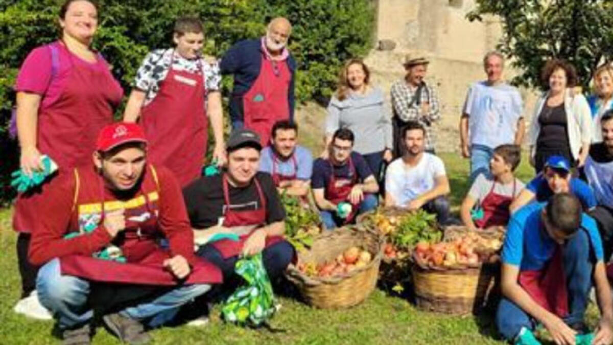 A Pompei progetti di valorizzazione del verde, i link ai bandi - 