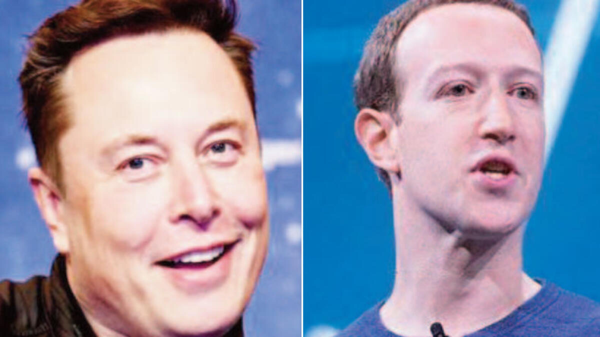 Incontro di lotta tra Zuckerberg e Elon Musk, Pompei vuole ospitarlo - 