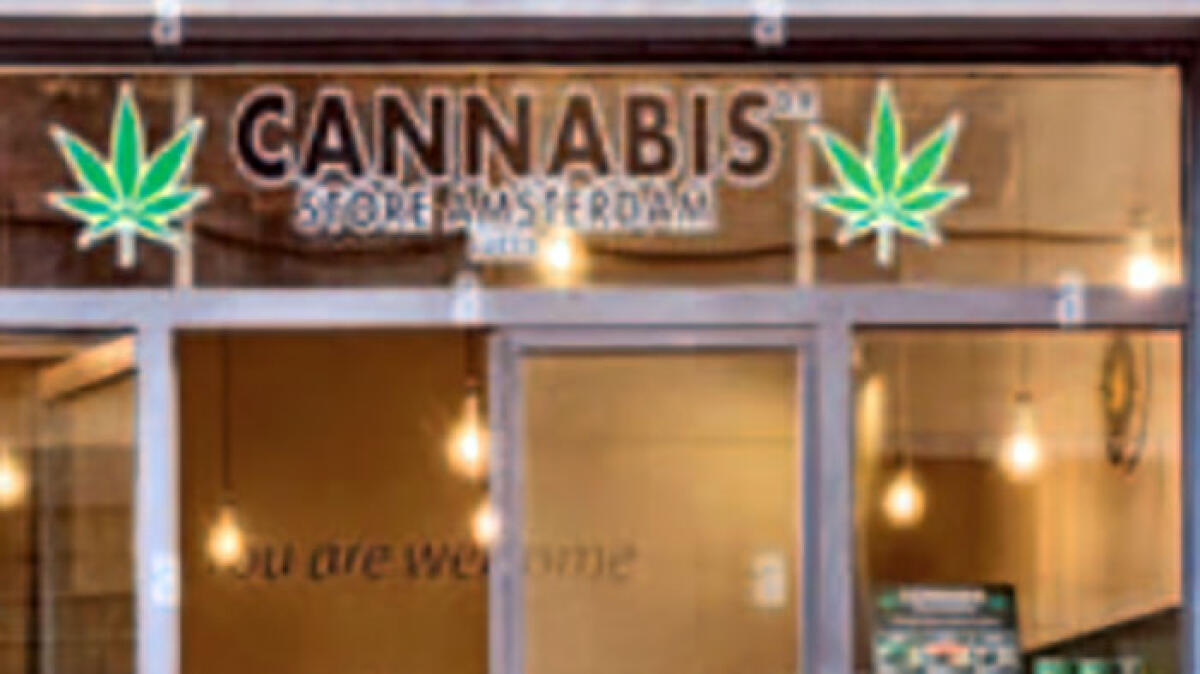 Cannabis shop a Nola: denunciato il titolare di un negozio - 