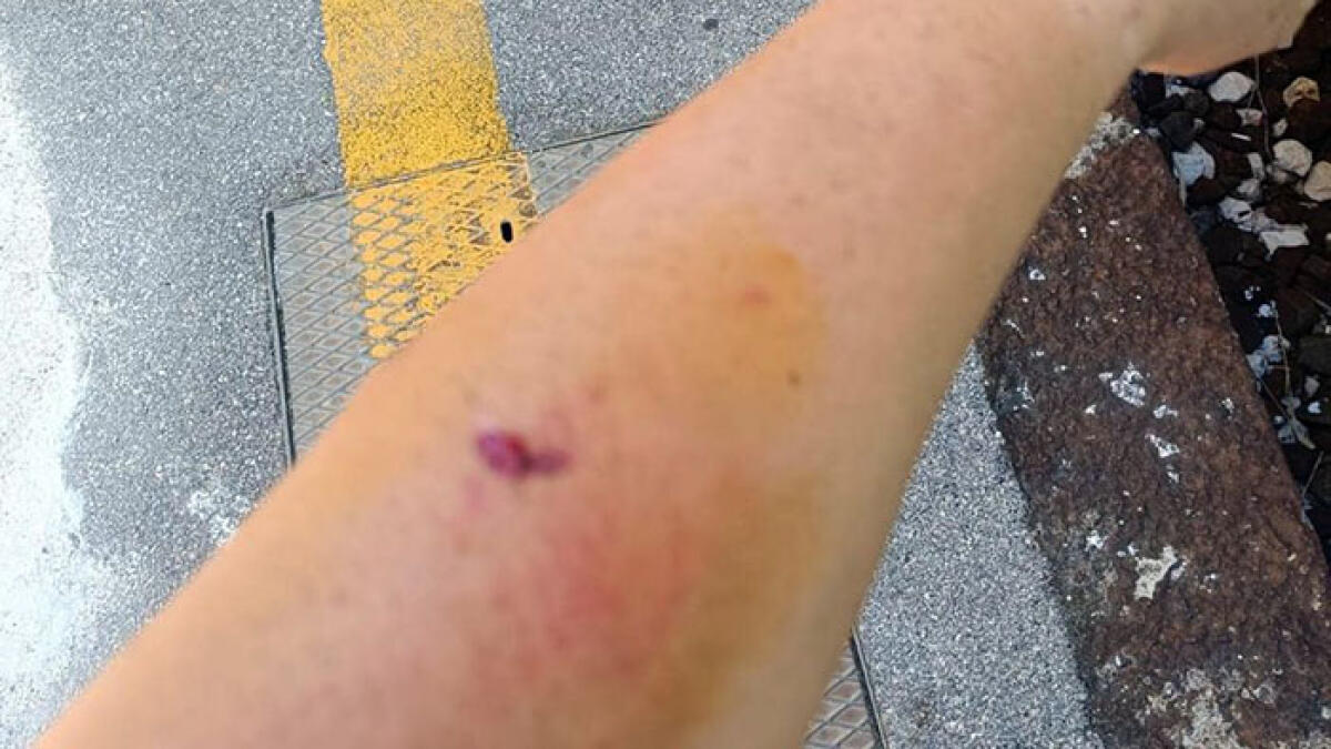 A bordo senza biglietto, aggredisce il personale Eav - 