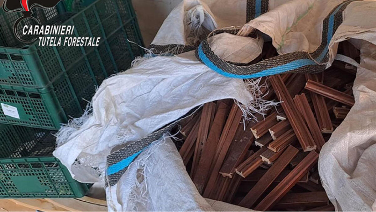 Vecchie cornici, scarti di legno e segatura per cuocere il pane - 