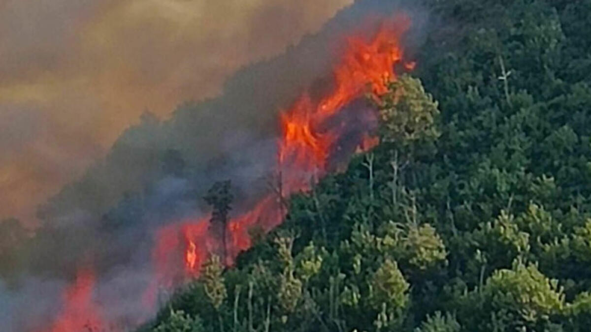 Ancora fiamme in Costiera, a rischio una perla del turismo - 