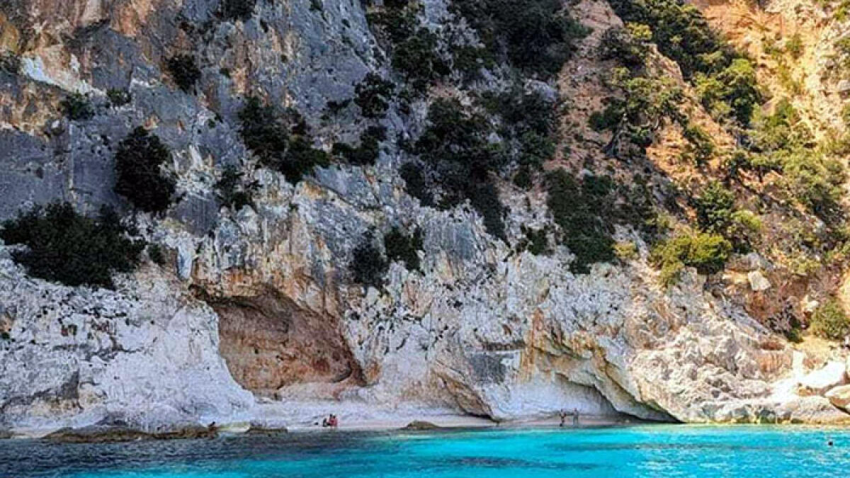 Albero cade in spiaggia, giovane bagnante colpita e uccisa - 