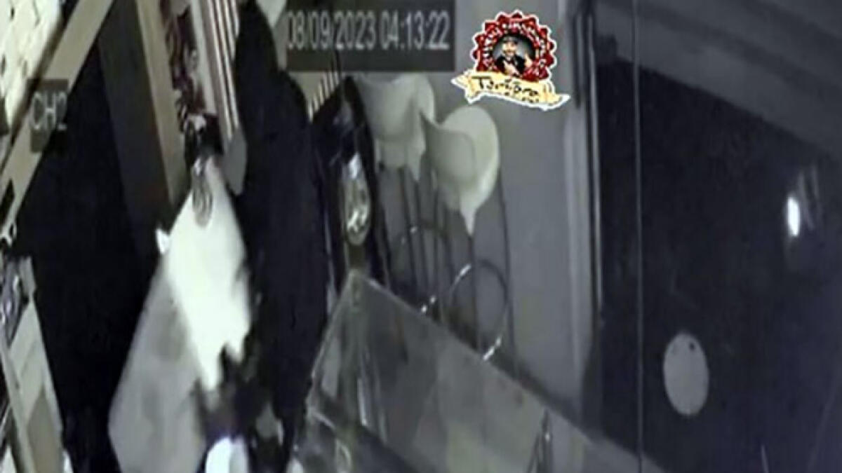 Ladri asportano cassaforte in pochi secondi dalla nota paninoteca GUARDA IL VIDEO - 