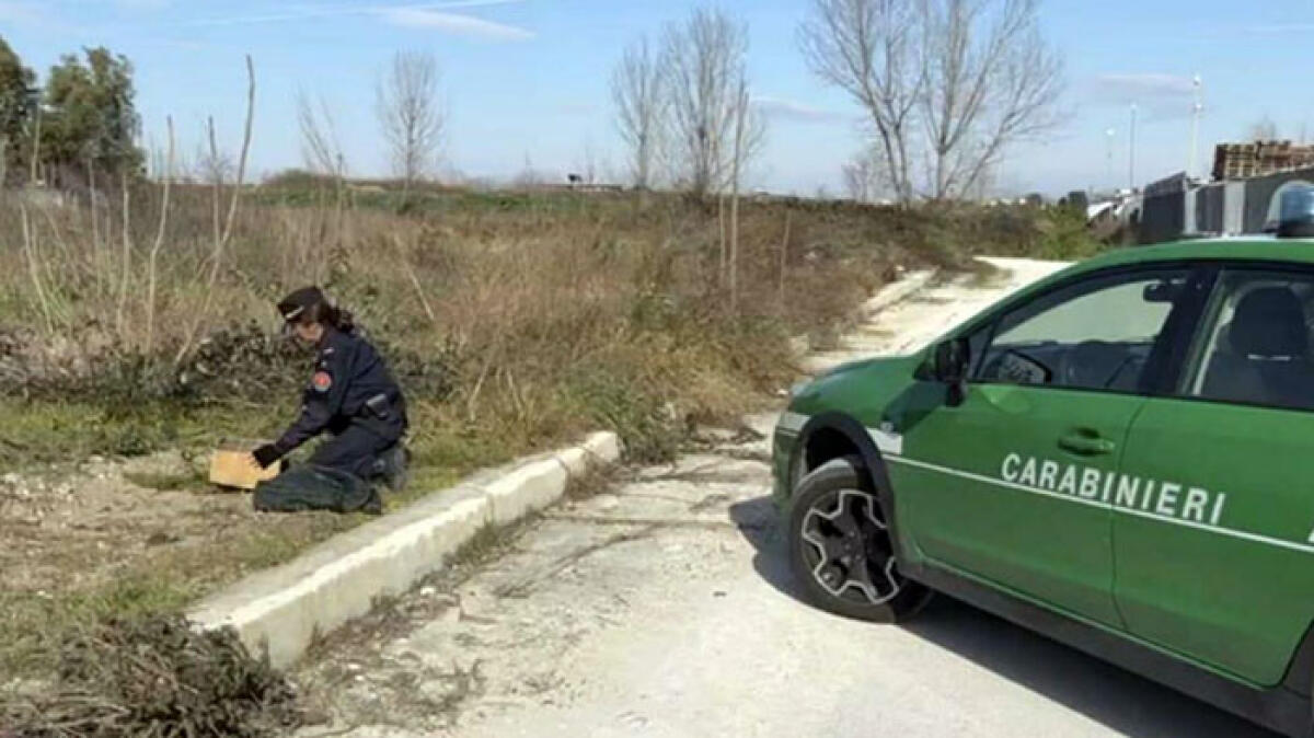 Blitz nel Nolano: fabbrica con rifiuti miscelati - 