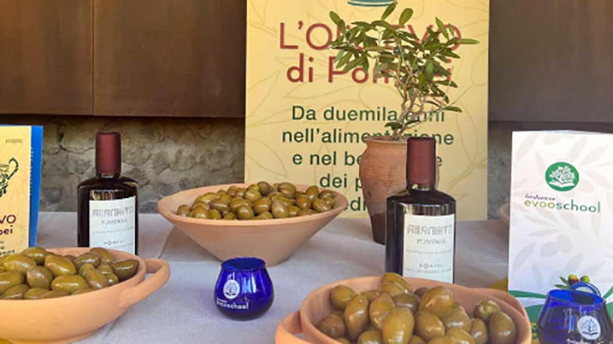 L'olio di Pompei diventa Igp - 