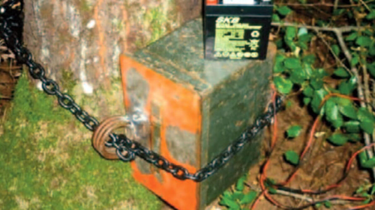 Cacciatore di Boscoreale beccato con richiami illegali: aveva già ucciso un'anatra - 