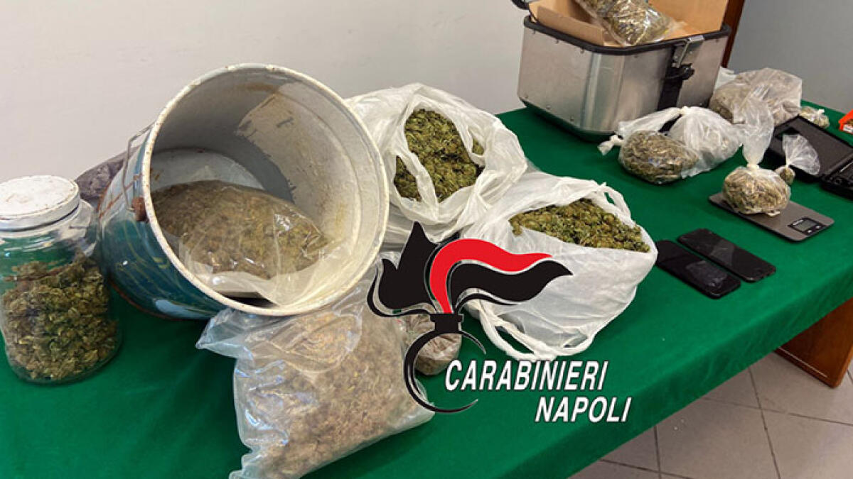 Blitz antidroga, 4 arresti sui Monti Lattari - 