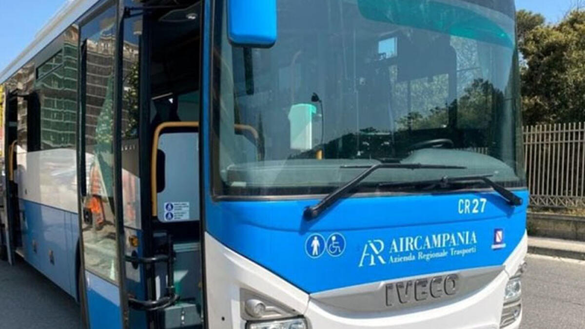 Autista di bus preso a pugni in faccia, è ricoverato in ospedale - 