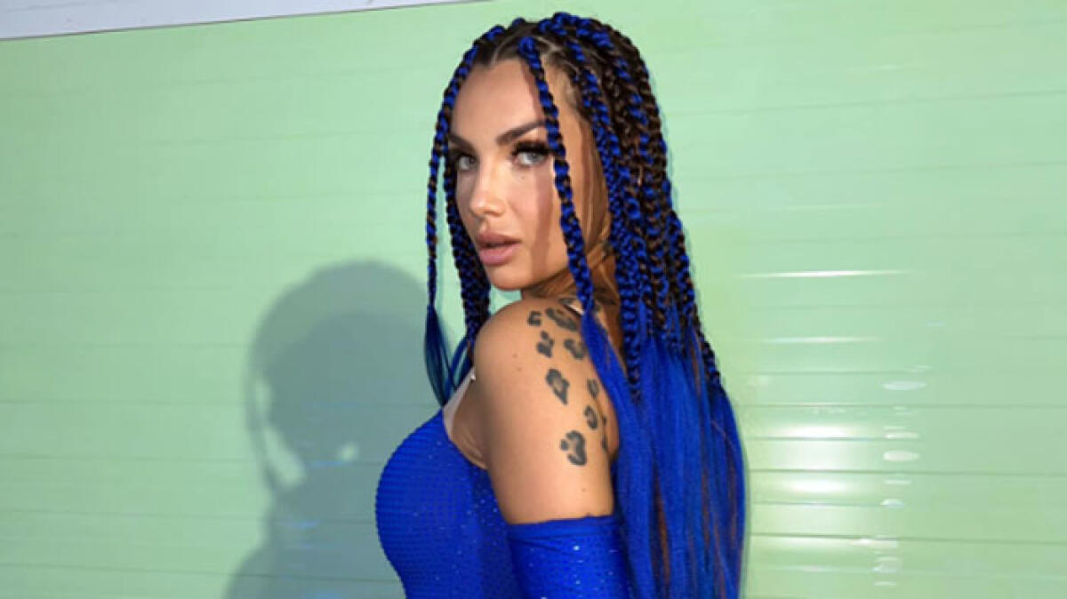 Ladri svaligiano intero condominio durante il concerto di Elettra Lamborghini in Campania - 