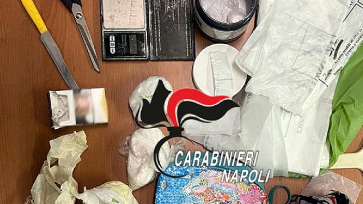 Il cane Attila incastra il pusher dei Vip in Costiera - 