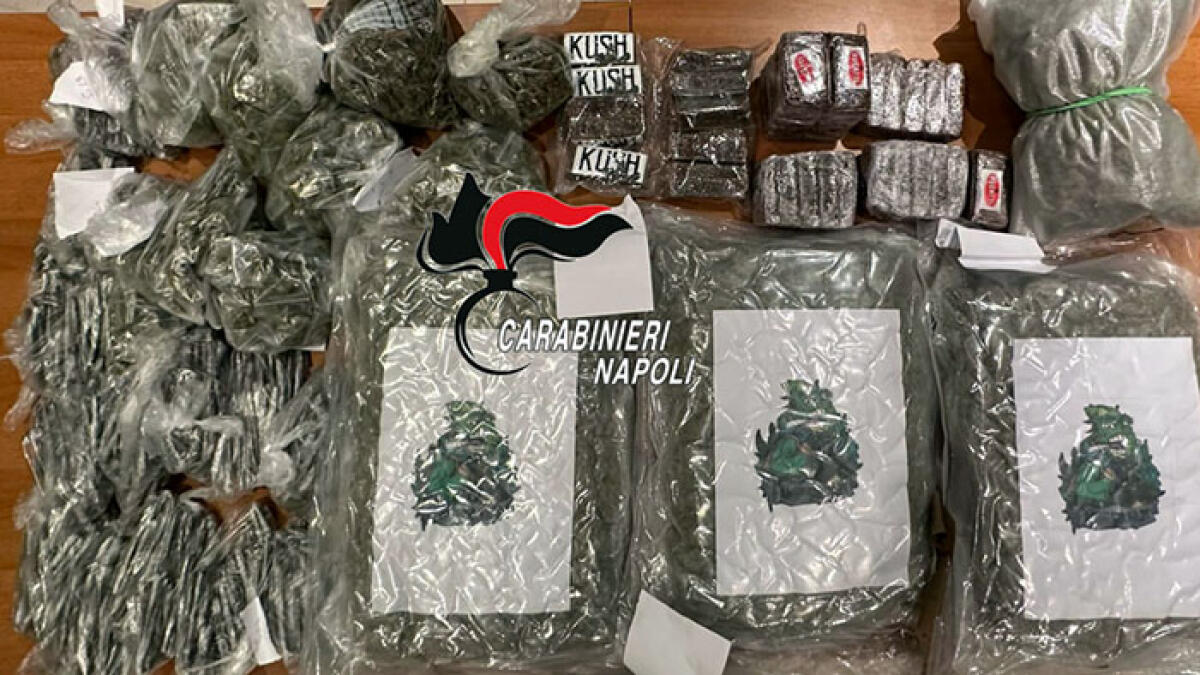 Nascondeva 11 chili di droga nel box auto - 