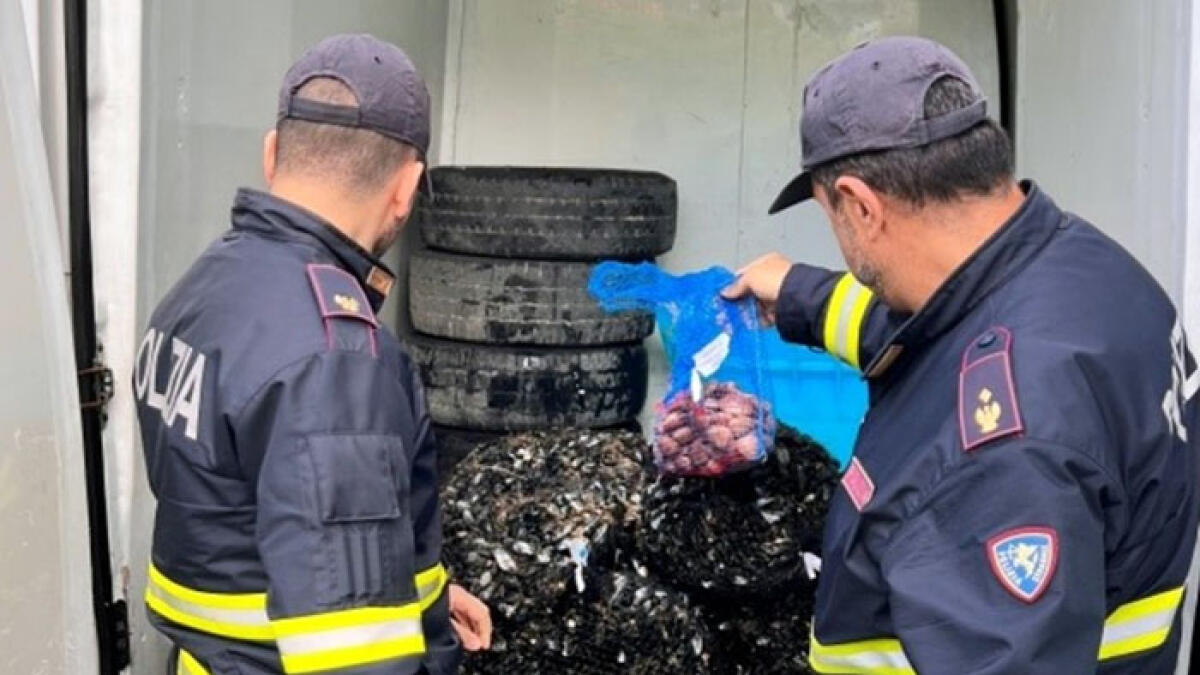 Cozze e vongole nascosti tra gli pneumatici - 