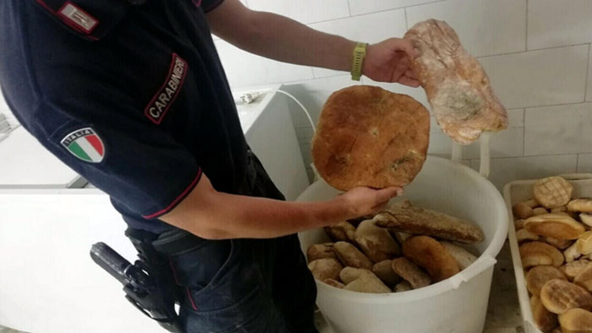 Pane e veleno, sequestrati 115 chili di impasto ammuffito - 