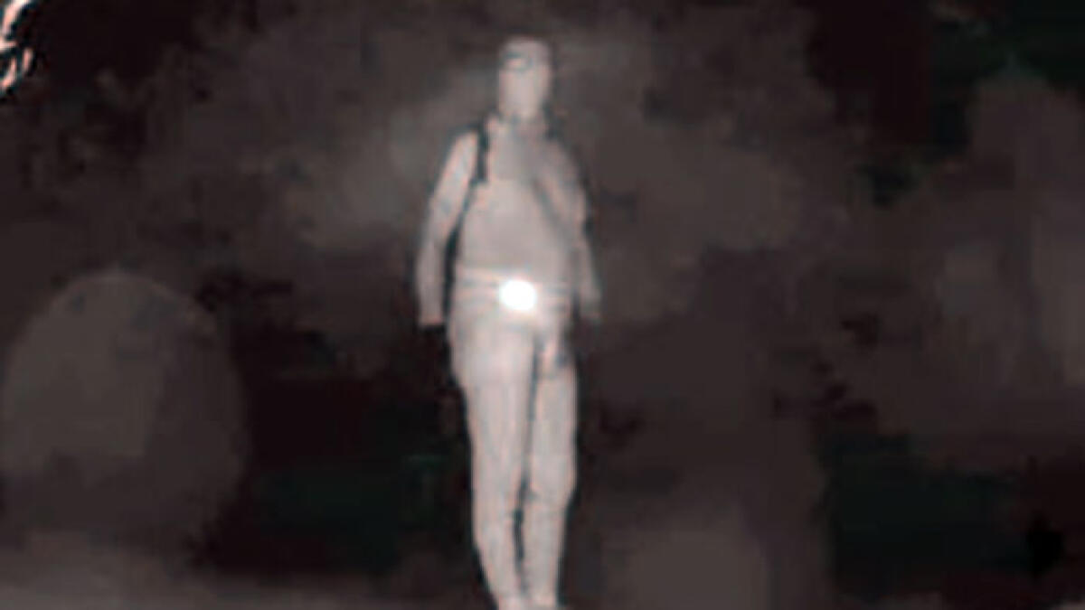 Ladri in casa strappano cassaforte dalla parete con un flex - 