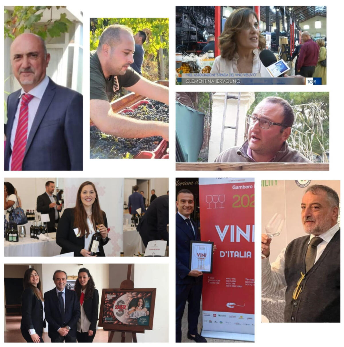 Clementina Iervolino rieletta Presidente della Strada del Vino Vesuvio e dei Prodotti Tipici Vesuviani - 