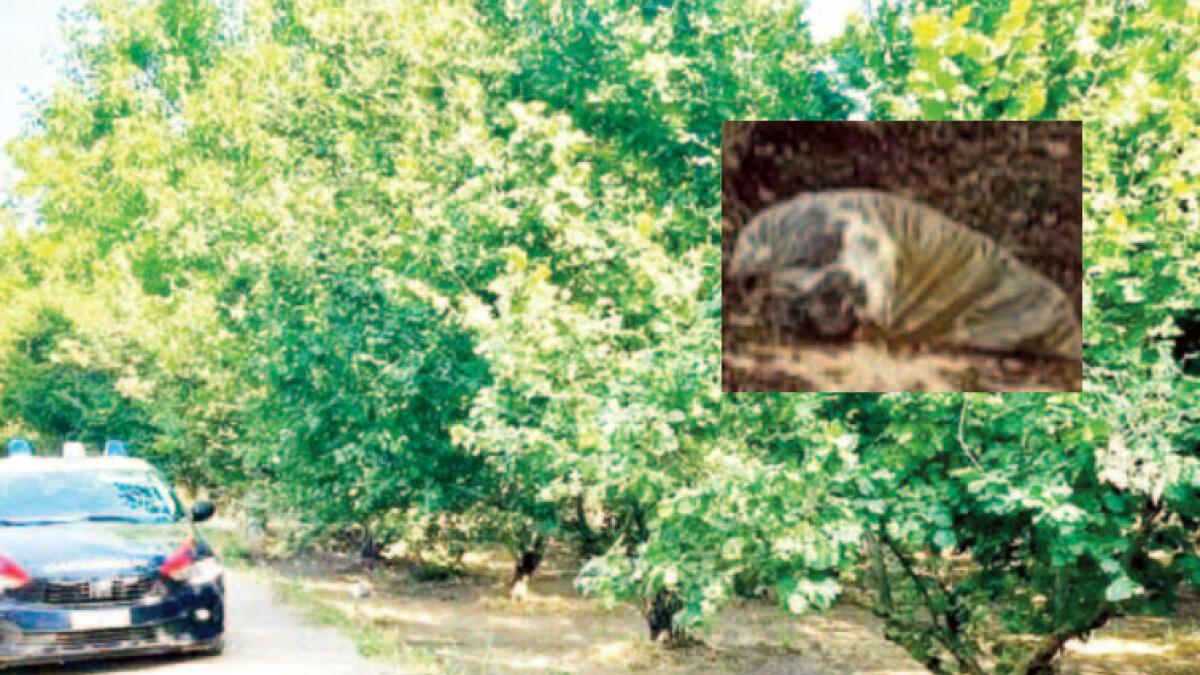 Resti umani trascinati in scooter nel Nolano: c'è la sentenza - 