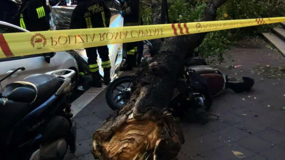 Alberi abbattuti dal vento: muore una donna, sei feriti - 